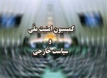 کمیسیون امنیت ملی مجلس درباره تنش بین ایران و آذربایجان جلسه برگزار می کند
