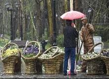 باران 9 استان را در برمی‌گیرد/ تهران خنک‌تر می‌شود