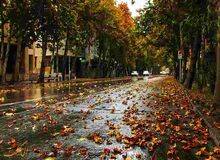 از عصر فردا تهران بارانی می‌شود/ کاهش محسوس دما طی پنجشنبه