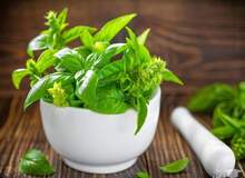 با خواص معجزه آسای درمانی ریحان آشنا شوید