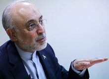 رضا نصری: علی‌اکبر صالحی شایسته‌ترین گزینه نه برای مدیریت یک سفارتخانه، بلکه برای عهده‌دار شدن سمت پیشنهادی «نماینده ویژه ایران در جهان عرب» است