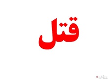 قاتل مرد شیشه ای: عاشق زن او شده بودم/ خواستم در دریا غرقش کنم نشد، با ماشین او را زیر گرفتم
