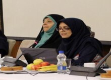 یک مقام معاونت امور زنان ریاست جمهوری: سند توسعه زنان و خانواده استان ها تدوین می شود/ موضوع زنان و خانواده، زنانه نیست