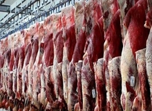 رئیس اتحادیه تهیه و توزیع گوشت گوسفندی: افزایش قیمت گوشت گوساله به ۲۵۰ هزار تومان/ مردم کمتر  گوشت گوساله می خرند
