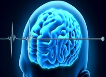 راه‌اندازی واحد شناسایی مرگ مغزی در کشور