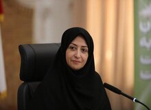 انصاری: بخش زیادی از قوانین زیست محیطی اجرا نشده است 