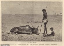 هشدار درباره تکرار خشک‌سالی و قحطی قرن ۱۹ با ۵۰ میلیون مرگ‌ومیر