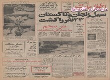 ۱۰۰ هزار تن برنج از آمریکا خریداری شد