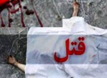 راننده مست که دوست دخترش همراهش بود، در تصادف شدید زن ۲۶ ساله را کشت/ مجرم با وثیقه آزاد شد
