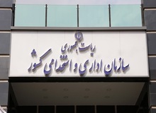 واکنش سخنگوی دولت به رأی دیوان عدالت اداری درباره معاون رئیس جمهور: قانون بهره‌گیری از ظرفیت اساتید و اعضای هیأت علمی دانشگاه‌های آزاد و غیر دولتی در مناصب اجرایی را مجاز دانسته