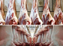 توضیح جالب اتحادیه درباره گرانی گوشت/ تقاضای خرید در اول هر ماه به دلیل واریز حقوق‌ها افزایش می‌یابد و به همین دلیل قیمت نیز افزایش می‌یابد



