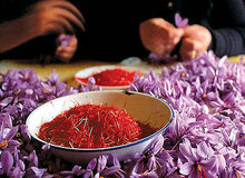 خرید توافقی زعفران زنگ خطر را برای دلالان به صدا درآورده است