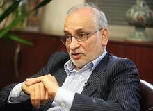 کارگزاران مدافع تیم اقتصادی دولت است/ هیچ فشاری برای تغییر کابینه به روحانی نیاوردیم