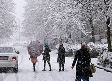 پنجشنبه تهران برفی می‌شود

