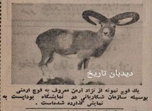 موفقیت چشمگیر ایران در نمایشگاه بین المللی شکار بوداپست