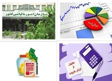 دولت در جلوگیری از فرار مالیاتی موفق نبوده است