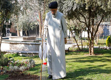 رییسی یک اصله نهال کاشت 