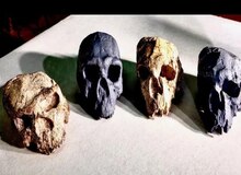 پیدا شدن یک جمجمه یک میلیون ساله در چین ممکن است تاریخچه پیدایش همه ما را بازنویسی کند