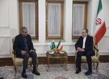 دیدار وزیر کشور پاکستان با وزیر خارجه کشورمان