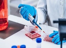 اطلاعات ژنتیکی افراد با مشاغل حساس جمع‌آوری می‌شود/از مقامات کشوری تا نظامیان و خبرنگاران