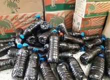 کشف خرماهای تریاکی!
