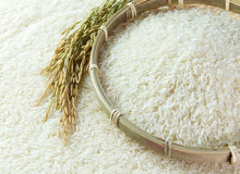 رئیس اتحادیه بنکداران مواد غذایی: قیمت برنج ایرانی نصف شد/شکر کمیاب شد