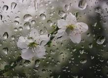 ۱۱ استان در انتظار باران و رگبار