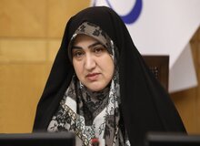 رفیعی: اگر بنا دارید نهاد خانواده را له بکنید، سقف حمایتی ۱۴ سکه و عندالاستطاعه را برای مهریه تعیین کنید