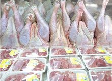 ادامه توزیع گوشت و مرغ دولتی/ شکایت از طرح‌کنندگان وجود انگل در گوشت