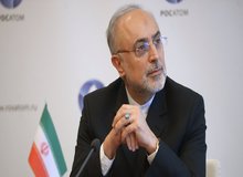  تکذیب نامزد شدن صالحی در انتخابات ریاست جمهوری 