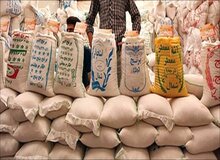رییس مجمع هماهنگی تشکل های بخش کشاورزی: قیمت برنج ایرانی افزایش پیدا می کند