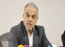 توضیحات معاون ارزی بانک مرکزی درباره تاخیر تخصیص ارز بخش خصوصی