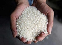 گزارش "دیده بان ایران" از افزایش آمار خودکشی با قرص برنج؛ رئیس انجمن مددکاری ایران در گفت و گو با دیده بان ایران: آمارهای اقدام به خودکشی واقعی نیست!