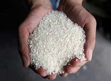 گزارش "دیده بان ایران" از افزایش آمار خودکشی با قرص برنج؛ رئیس انجمن مددکاری ایران در گفت و گو با دیده بان ایران: آمارهای اقدام به خودکشی واقعی نیست!