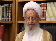 فتوای آیت‌الله مکارم شیرازی درباره همستر و نات کوین
