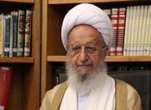 فتوای آیت‌الله مکارم شیرازی درباره همستر و نات کوین
