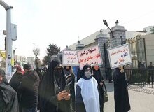 توهین استاد دانشگاه به رئیس جمهور/ کوشکی: مجاهدین خلق هم نهج البلاغه حفظ بودند!

