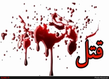 توضیح رئیس کلانتری ۱۰۳ گاندی درباره دستگیری مرد همسرکش در ونک