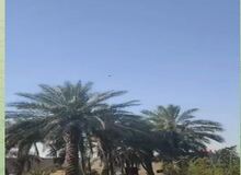 پهپاد های انتحاری شاهد در آسمان عراق+فیلم 