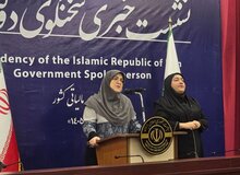 اظهارات سخنگوی دولت درباره آخرین وضعیت خلبانان ایرانی در قطر و بنزین .../ واردات انواع خودرو توسط هتل‌داران و ایرانیان خارج از کشور متوقف شد