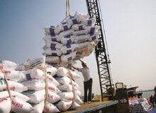 درخواست تداوم ممنوعیت واردات برنج در فصل برداشت سال جاری