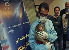 ارگان رسانه ای وابسته به سپاه: میمون‌های فضانورد ایرانی، زاد و ولد هم کرده‌ و همسر و فرزند دارند