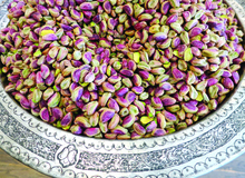گزارشی از مهاجرت گسترده پسته کاران کرمان به قزوین/ مهاجران پسته 