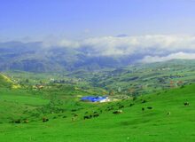 تصاویری زیبا از پاییز جنگل دیلمانِ گیلان