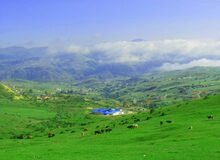 تصاویری زیبا از پاییز جنگل دیلمانِ گیلان