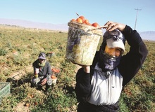 دستمزدهای نابرابر