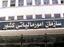 دستور مالیاتی به سازمان‌های دولتی 