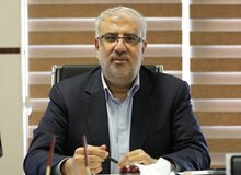 وزیر نفت از منتفی شدن کاهش قیمت سوخت و خوراک پتروشیمی‌ها خبر داد