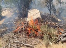 مهار کامل آتش‌سوزی در آرادکوه از ۲ روز پیش/ حریق جدیدی رخ نداده است