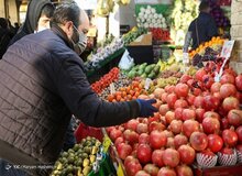 نگران گوجه‌فرنگی نباشید؛ قیمت‌ها به تعادل رسید/ شادلو: مغازه‌داران دنبال گران‌فروشی در شب یلدا نباشند
